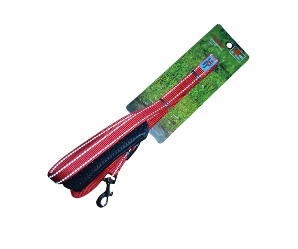 Correa de Cintura para Perro de 2x200 cm